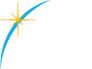 DVS